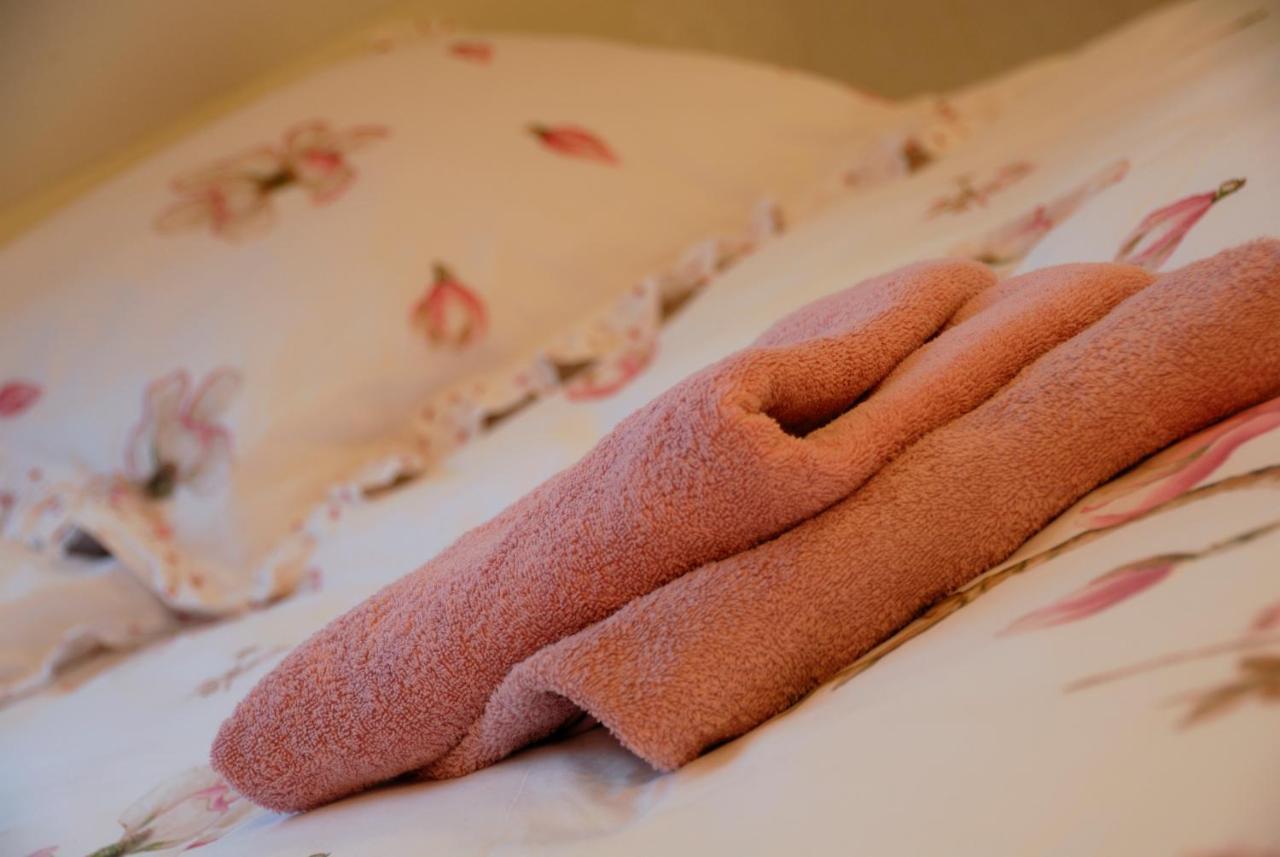 B&B De Strandhoeve ヒートホールン エクステリア 写真